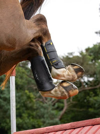 LeMieux MIMsafe XC Peesbeschermers Cross Beenbeschermers - Maddelin Equestrian LeMieux