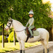 LeMieux Mini Suede Jump Zadeldek Fern Zadeldoeken - Maddelin Equestrian LeMieux