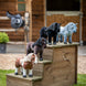 LeMieux Mini Toy Pony Speelgoed - Maddelin Equestrian LeMieux