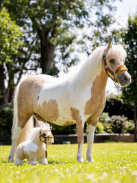 LeMieux Mini Toy Pony Speelgoed - Maddelin Equestrian LeMieux
