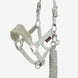 LeMieux Mini Vogue Halster ss24 Nylon halsters - Maddelin Equestrian LeMieux