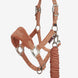 LeMieux Mini Vogue Halster ss24 Nylon halsters - Maddelin Equestrian LeMieux