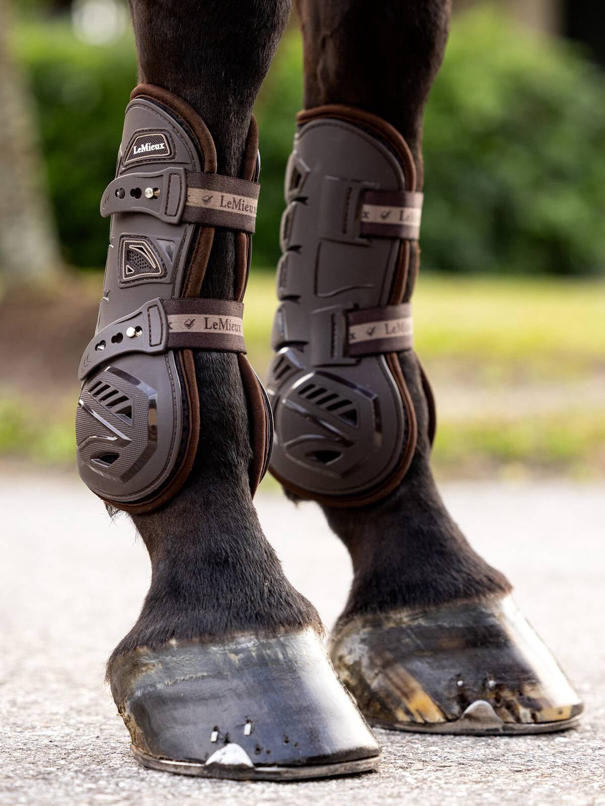 LeMieux Motion Cool Peesbeschermers Peesbeschermers - Maddelin Equestrian LeMieux