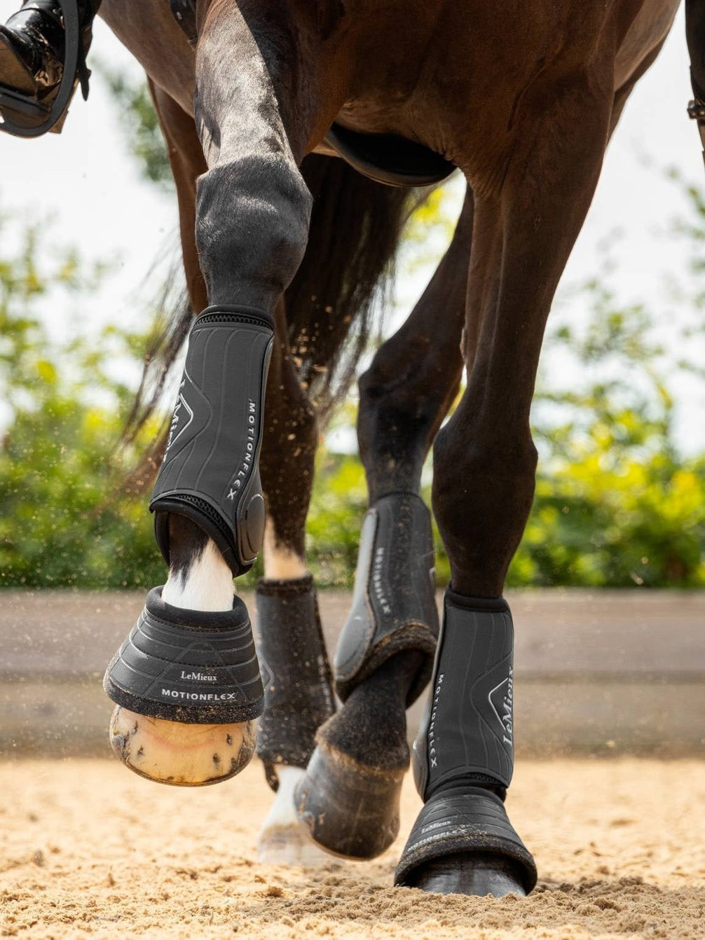 LeMieux Motionflex Dressuur Peesbeschermers Peesbeschermers - Maddelin Equestrian LeMieux