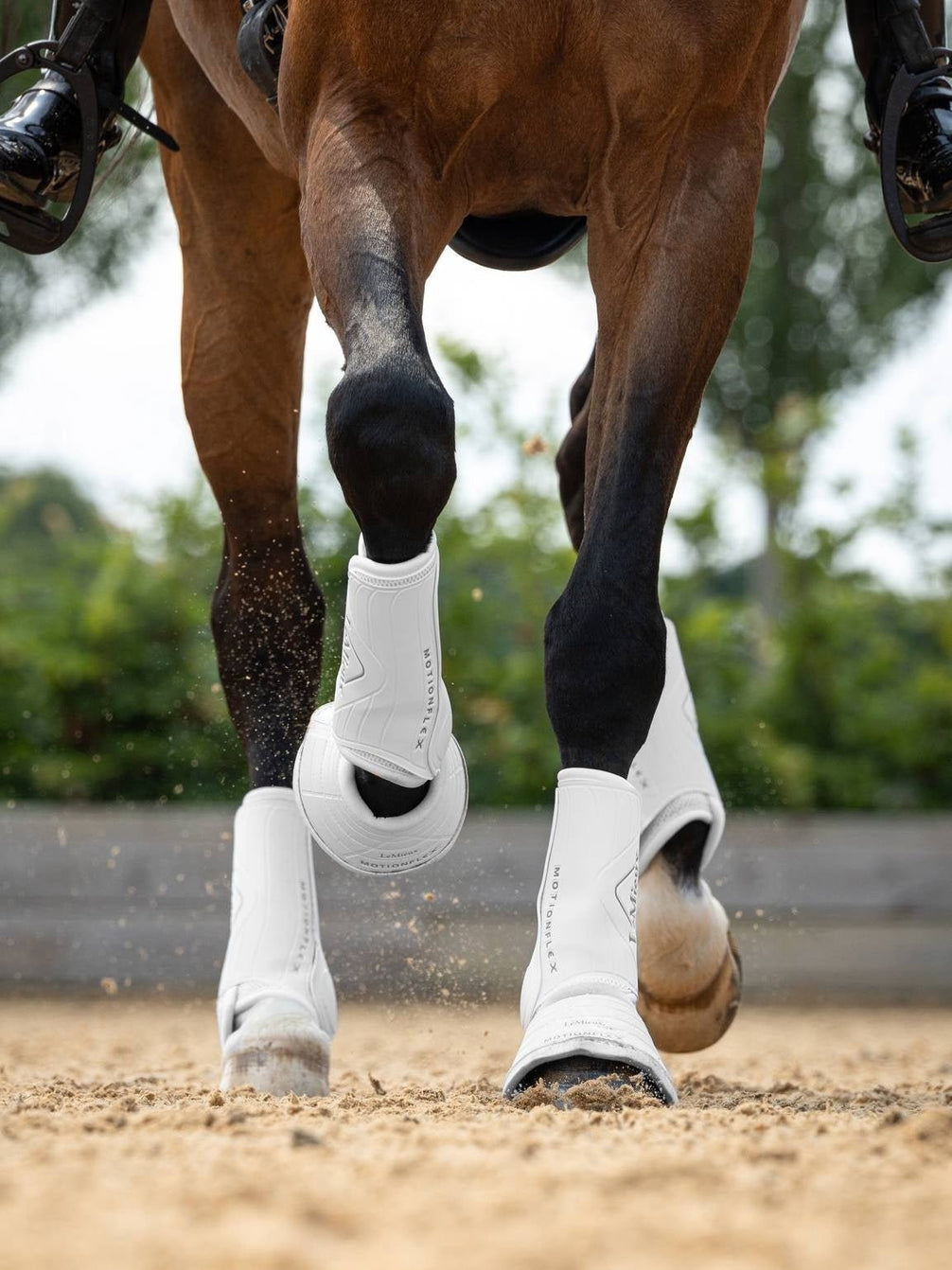 LeMieux Motionflex Dressuur Peesbeschermers Peesbeschermers - Maddelin Equestrian LeMieux