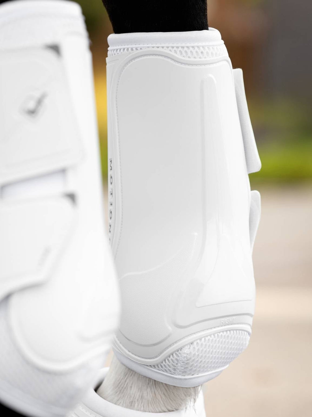 LeMieux Motionflex Dressuur Peesbeschermers Peesbeschermers - Maddelin Equestrian LeMieux