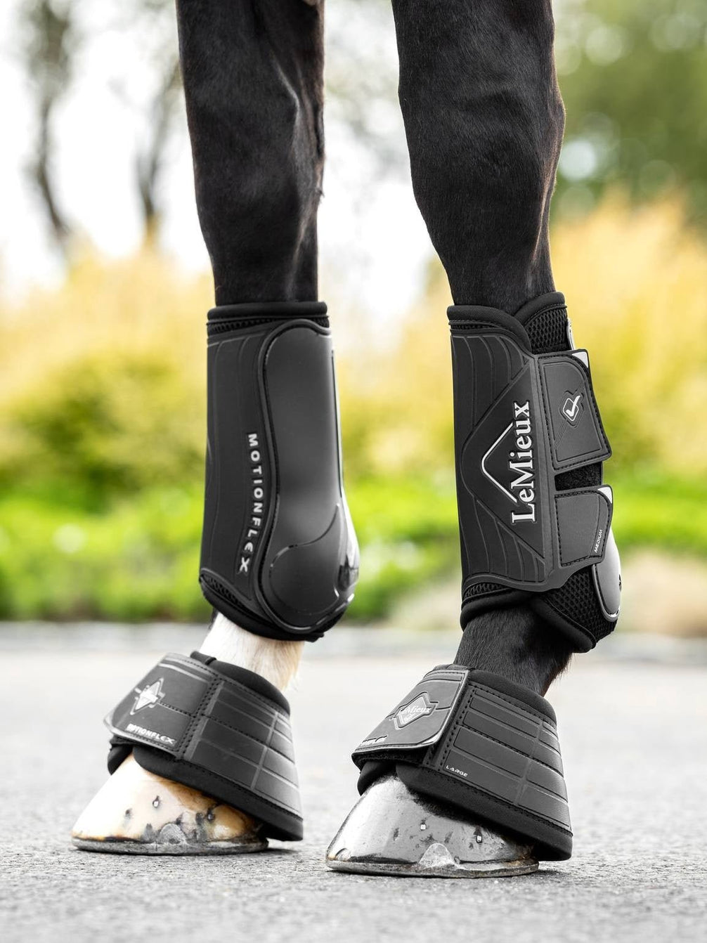 LeMieux Motionflex Dressuur Peesbeschermers Peesbeschermers - Maddelin Equestrian LeMieux