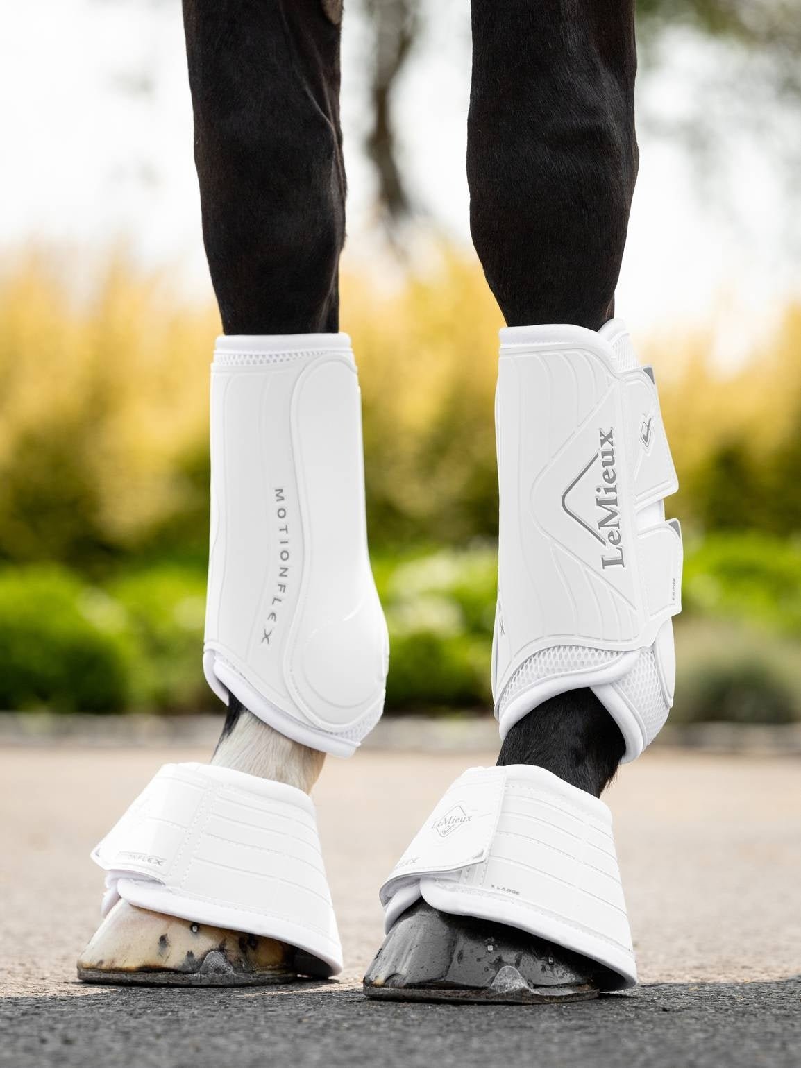 LeMieux Motionflex Dressuur Peesbeschermers Peesbeschermers - Maddelin Equestrian LeMieux