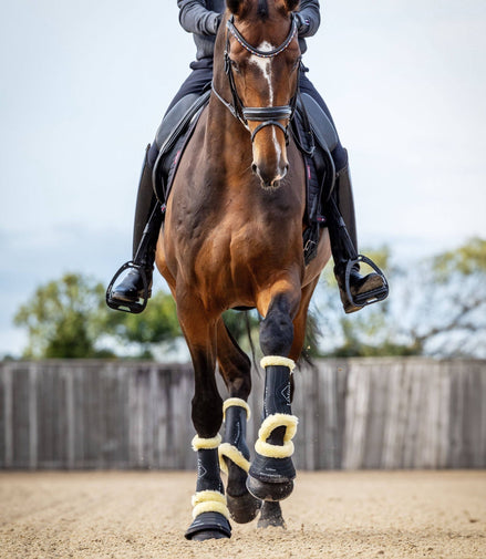LeMieux Motionflex Dressuur Peesbeschermers met faux fur Peesbeschermers - Maddelin Equestrian LeMieux