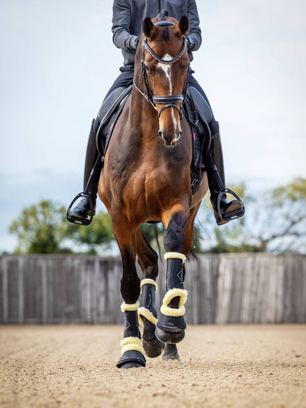 LeMieux Motionflex Dressuur Peesbeschermers met faux fur Peesbeschermers - Maddelin Equestrian LeMieux