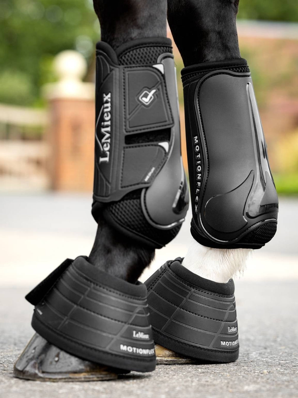 LeMieux Motionflex Springschoenen Springschoenen - Maddelin Equestrian LeMieux