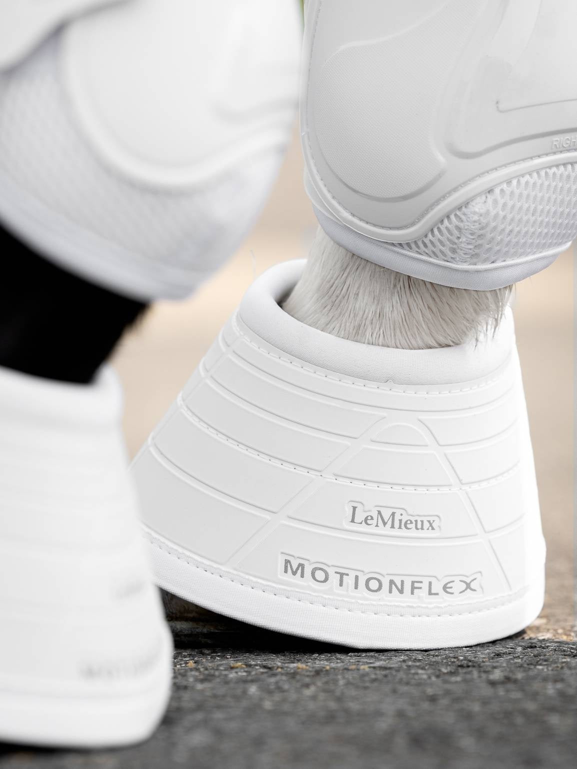 LeMieux Motionflex Springschoenen Springschoenen - Maddelin Equestrian LeMieux