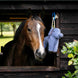 LeMieux Plush Horse Toy Elephant Speelgoed voor paarden - Maddelin Equestrian LeMieux