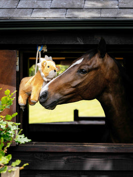 LeMieux Plush Horse Toy Lion Speelgoed voor paarden - Maddelin Equestrian LeMieux