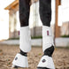 LeMieux ProShell Peesbeschermers Beenbeschermers - Maddelin Equestrian LeMieux