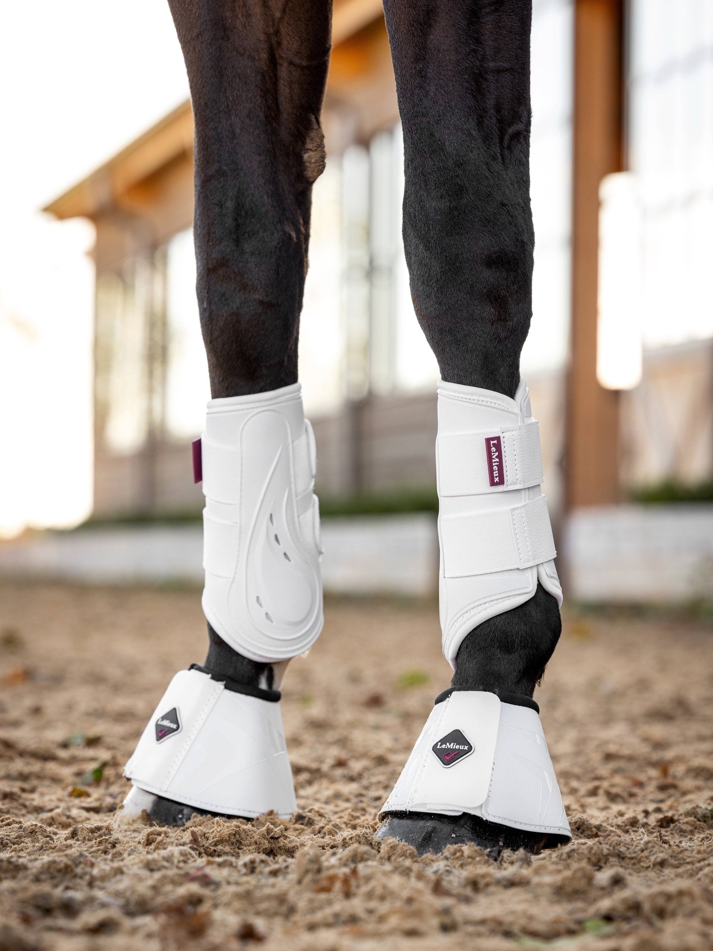 LeMieux ProShell Peesbeschermers Beenbeschermers - Maddelin Equestrian LeMieux