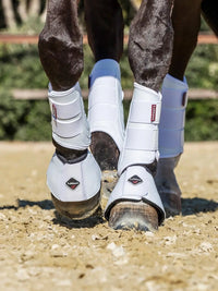 LeMieux Proshell Springschoenen Springschoenen - Maddelin Equestrian LeMieux