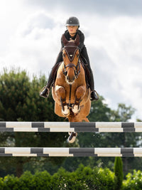 LeMieux Puissance Oornetje Oornetjes - Maddelin Equestrian LeMieux