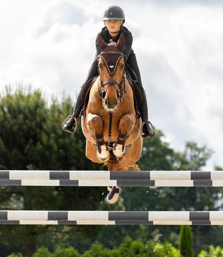 LeMieux Puissance Oornetje Oornetjes - Maddelin Equestrian LeMieux