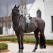 LeMieux Puissance Suede Zadeldek Zadeldoeken - Maddelin Equestrian LeMieux