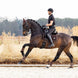 LeMieux Puissance Suede Zadeldek Zadeldoeken - Maddelin Equestrian LeMieux