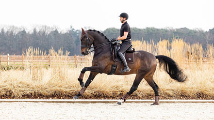 LeMieux Puissance Suede Zadeldek Zadeldoeken - Maddelin Equestrian LeMieux