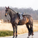 LeMieux Puissance Suede Zadeldek Zadeldoeken - Maddelin Equestrian LeMieux