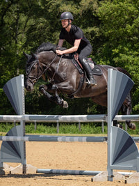 LeMieux Puissance Suede Zadeldek Zadeldoeken - Maddelin Equestrian LeMieux