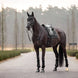 LeMieux Puissance Suede Zadeldek Zadeldoeken - Maddelin Equestrian LeMieux