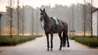 LeMieux Puissance Suede Zadeldek Zadeldoeken - Maddelin Equestrian LeMieux