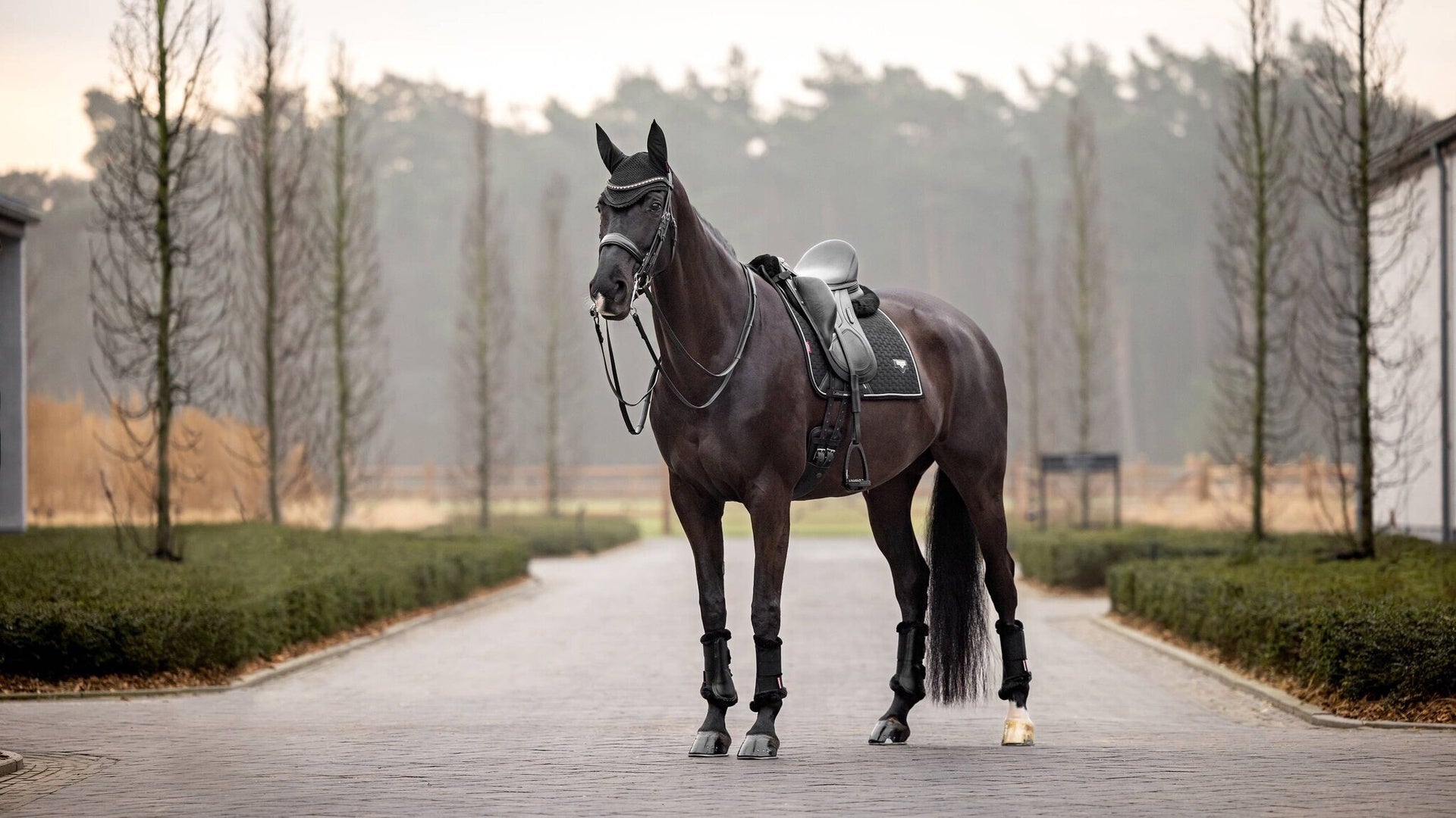 LeMieux Puissance Suede Zadeldek Zadeldoeken - Maddelin Equestrian LeMieux