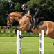 LeMieux Puissance Suede Zadeldek Zadeldoeken - Maddelin Equestrian LeMieux