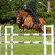 LeMieux Puissance Suede Zadeldek Zadeldoeken - Maddelin Equestrian LeMieux