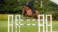 LeMieux Puissance Suede Zadeldek Zadeldoeken - Maddelin Equestrian LeMieux