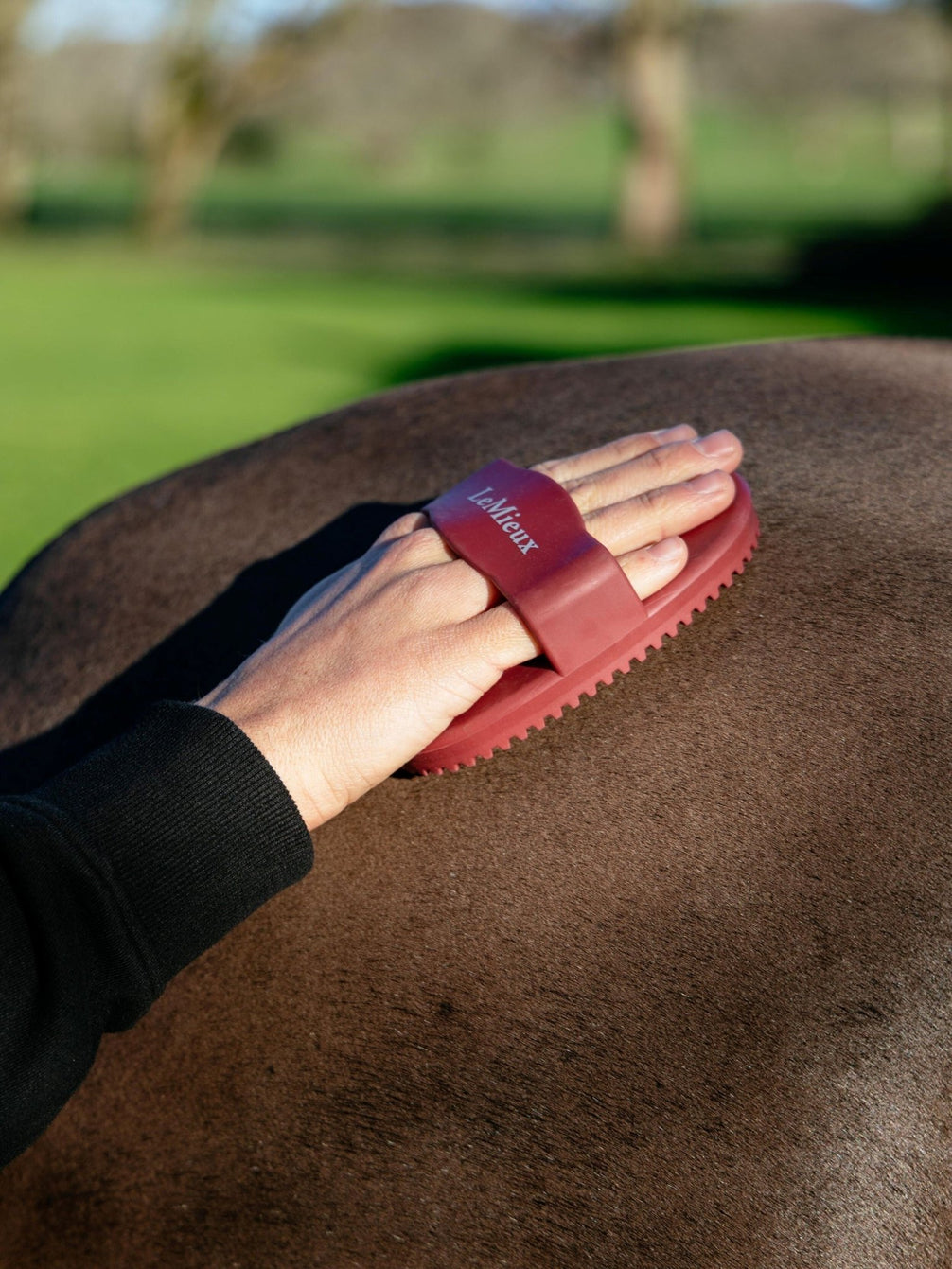 LeMieux Rubber Comb Borstels & toebehoren - Maddelin Equestrian LeMieux