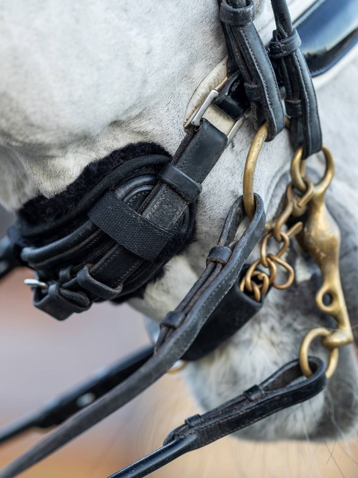 LeMieux Simuwool Neusriembeschermer Toebehoren hoofdstellen - Maddelin Equestrian LeMieux