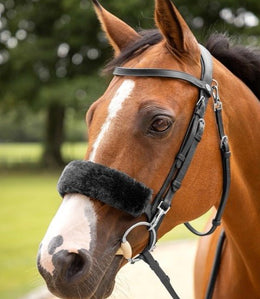 LeMieux Simuwool Noseband Cover Toebehoren hoofdstellen - Maddelin Equestrian LeMieux