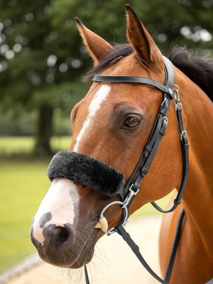 LeMieux Simuwool Noseband Cover Toebehoren hoofdstellen - Maddelin Equestrian LeMieux