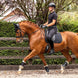 LeMieux Soft Shell Anti Slip Zadeldek Zadeldoeken - Maddelin Equestrian LeMieux