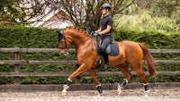 LeMieux Soft Shell Anti Slip Zadeldek Zadeldoeken - Maddelin Equestrian LeMieux