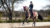 LeMieux Soft Shell Anti Slip Zadeldek Zadeldoeken - Maddelin Equestrian LeMieux