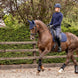 LeMieux Soft Shell Anti Slip Zadeldek Zadeldoeken - Maddelin Equestrian LeMieux