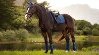 LeMieux Suede Zadeldek Atlantic - Dressage Zadeldoeken - Maddelin Equestrian LeMieux