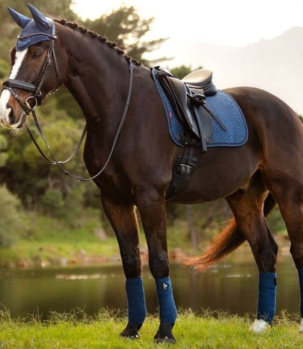 LeMieux Suede Zadeldek Atlantic - Dressage Zadeldoeken - Maddelin Equestrian LeMieux