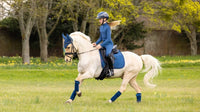 LeMieux Suede Zadeldek Atlantic - Dressage Zadeldoeken - Maddelin Equestrian LeMieux