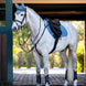 LeMieux Suede Zadeldek Core Zadeldoeken - Maddelin Equestrian LeMieux