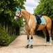 LeMieux Suede Zadeldek Lagoon SS25 Zadeldoeken - Maddelin Equestrian LeMieux