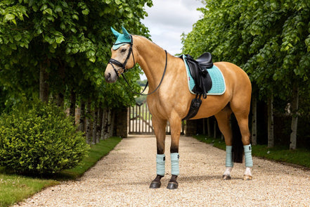 LeMieux Suede Zadeldek Lagoon SS25 Zadeldoeken - Maddelin Equestrian LeMieux