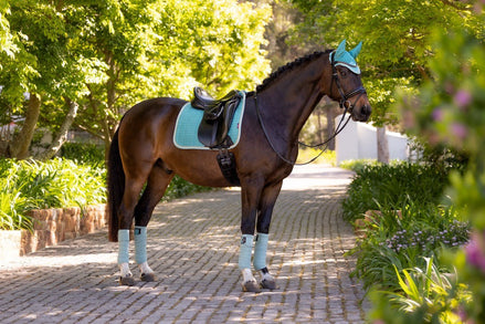 LeMieux Suede Zadeldek Lagoon SS25 Zadeldoeken - Maddelin Equestrian LeMieux