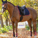 Lemieux Suede Zadeldek Navy/Cranberry Zadeldoeken - Maddelin Equestrian LeMieux